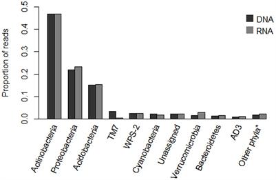 Compositional Stability of the Bacterial Community in a Climate-Sensitive Sub-Arctic Peatland